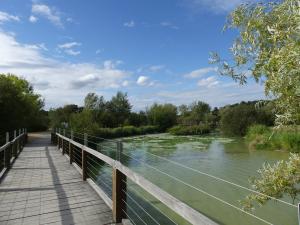 Plan d'eau