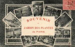 Jardin des Plantes - 1906