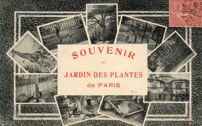 Jardin des Plantes - 1906