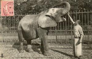 75 Ménagerie du Jardin des Plantes