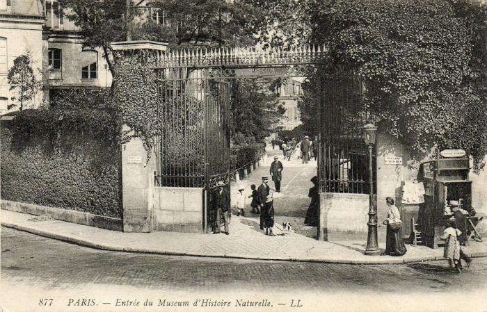 Entrée du Museum d'Histoire naturelle
