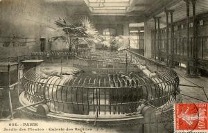 Galerie des Reptiles - 1909