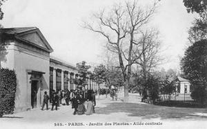 Allée centrale - 1905