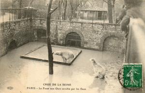 La Fosse aux ours envahie par les eaux - 1910