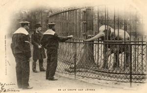 De la coupe aux lèvres - 1902