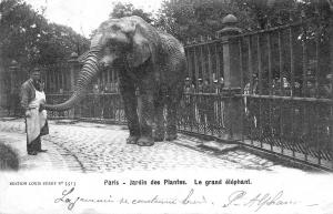 Le grand éléphant - 1903