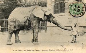 Le grand Eléphant Saïd et son Cornac Neff - 1907