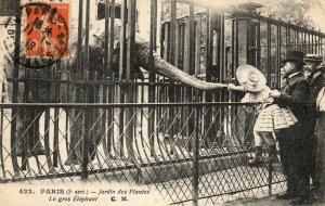 Le gros Eléphant - 1918