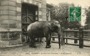 L'Eléphant - 1910