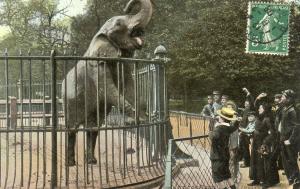 L'Eléphant - 1908