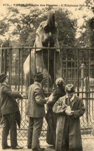 L'Eléphant "Sarrith"- 1909