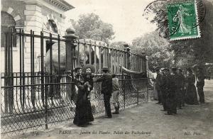 Palais des Pachydermes - 1909