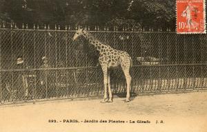 La Girafe -1914