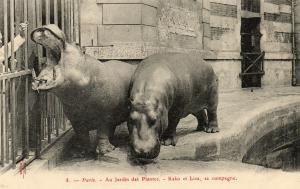"Kako" et "Liza" sa compagne