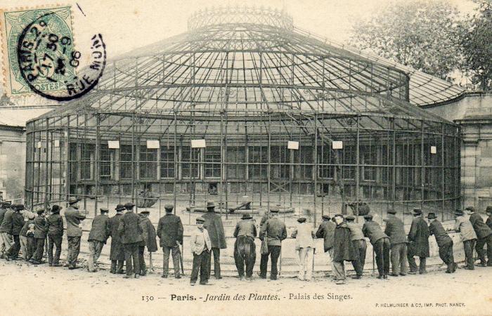 Palais des Singes - 1906