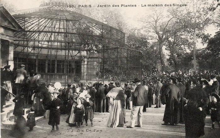 La Maison des singes - 1906