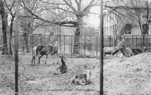 Parc aux Biches