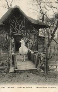 Le Lama et son habitation - 1913