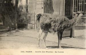 Le Lama