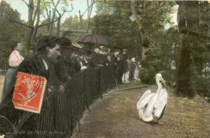 Le Pélican - 1915
