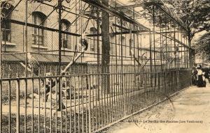 Les Vautours - 1911