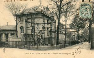 Volière des Perroquets - 1905