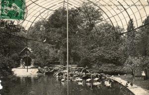 La Grande Volière - 1908