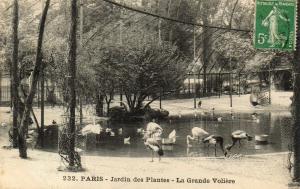 La Grande Volière