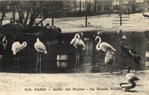 La Grande Volière