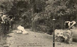 Un coin du Jardin des Plantes - 1909