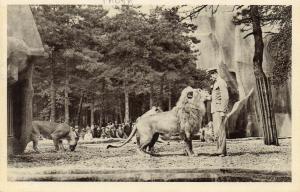 Le Lion "Pacha" et son dompteur