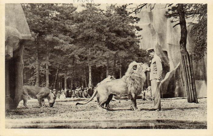 Le Lion "Pacha" et son dompteur