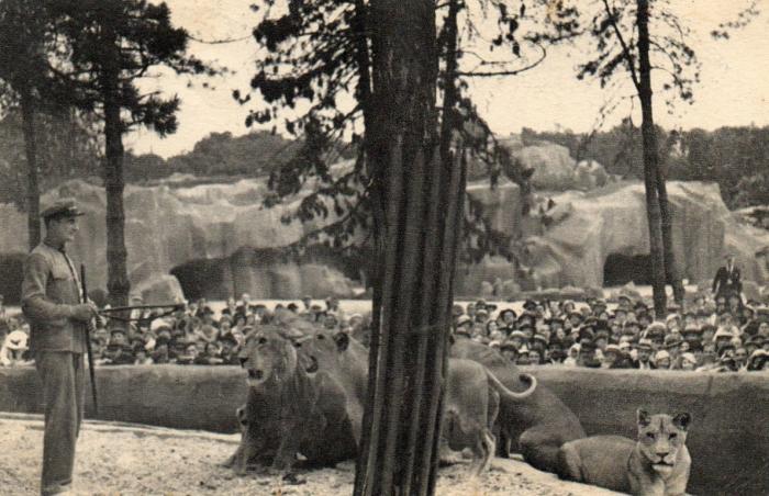 Le travail des Lions sur leur plateau - 1935