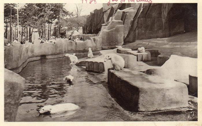 Les Ours blancs - 1938