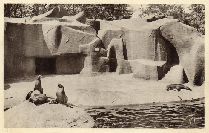Les Otaries