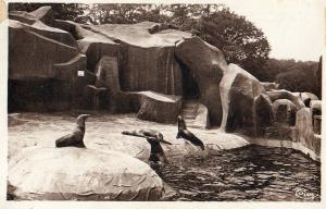 Le Bassin des Otaries