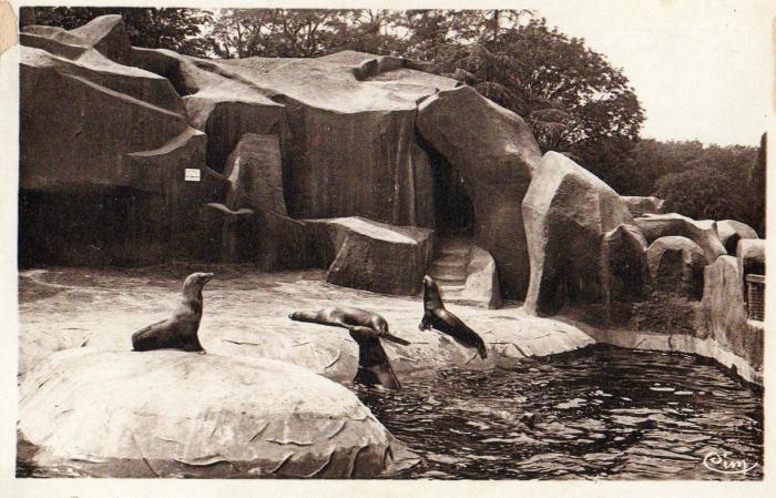 Le Bassin des Otaries