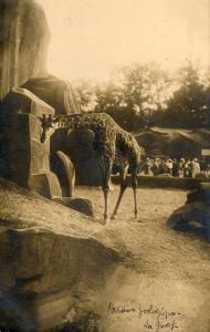 La Girafe