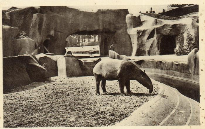 Le Tapir à chabraque