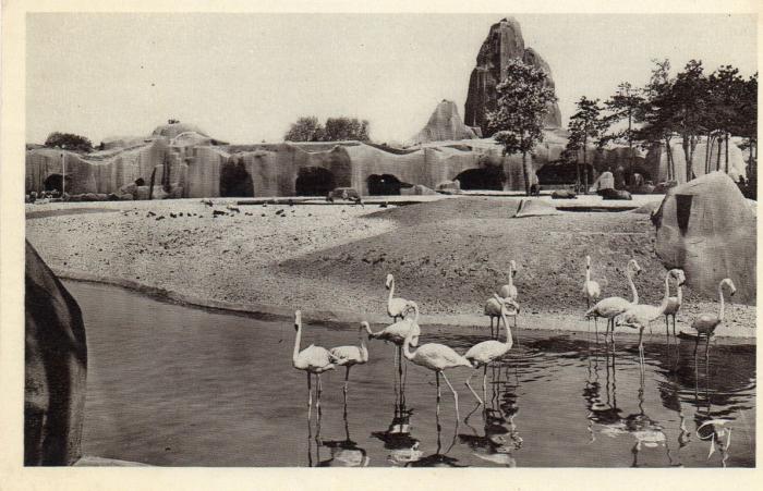 Les Flamants Roses et le Grand Rocher