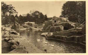 Le Grand Bassin aux oiseaux et les Iles aux singes