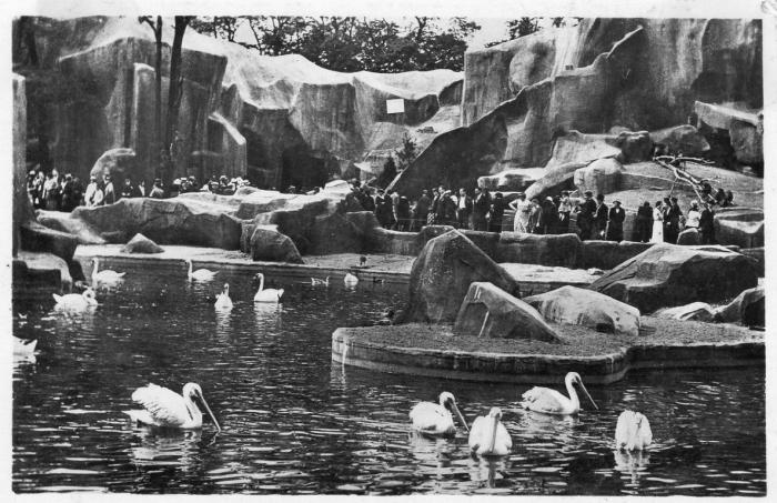 Le Bassin des Pélicans et le rocher des Singes