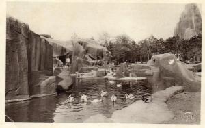 Ile et Rocher des Singes vers le Grand Rocher