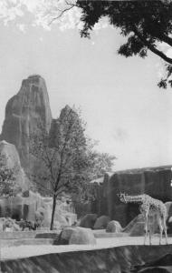 Le Parc des Girafes