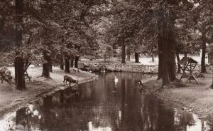 Le Parc aux Cerfs - 1969
