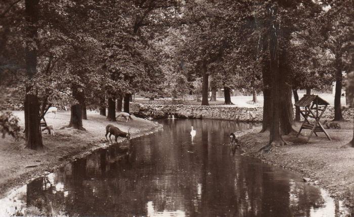 Le Parc aux Cerfs - 1969