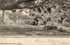 Le Rocher des Antilopes Cervicapres - 1904