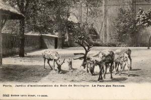Le Parc des Rennes