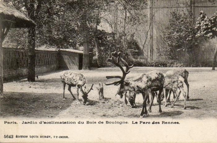Le Parc des Rennes