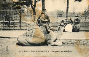 Le chargement du Dromadaire